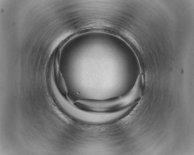 X0000088671026200705311137