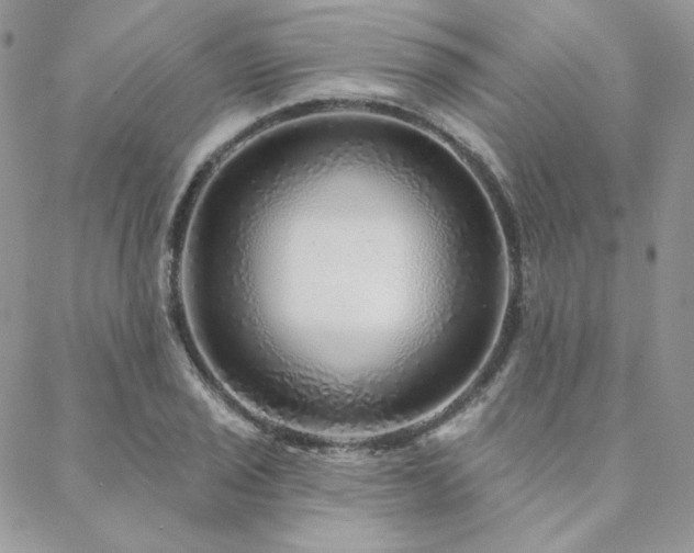 X0000088671029200705311137