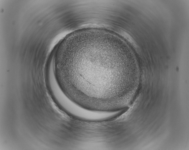 X0000088671030200705311137