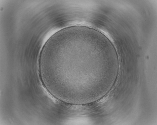 X0000088671056200705311138