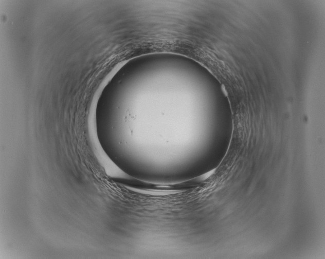 X0000088671057200705311137