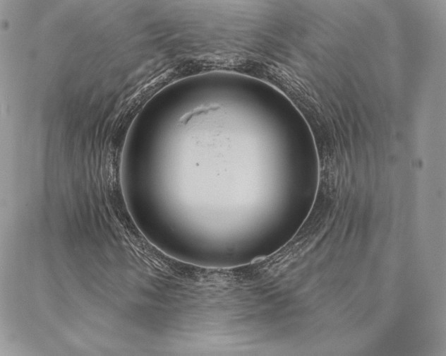 X0000088671058200705311137