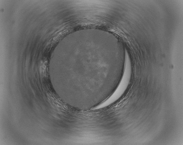 X0000088671059200705311137
