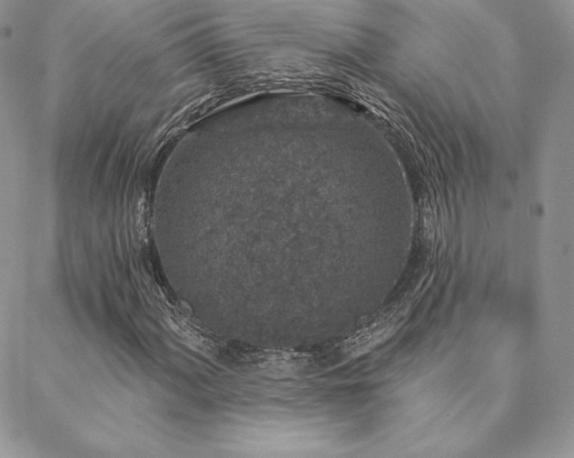 X0000088671060200705311137