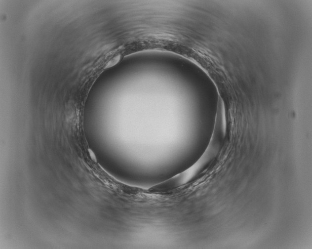 X0000088671061200705311137