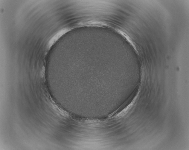 X0000088671066200705311137