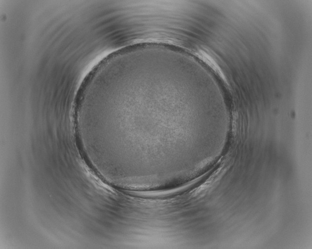 X0000088671068200705311137