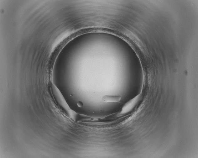 X0000088671069200705311137