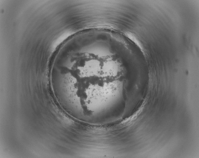 X0000088671071200705311137