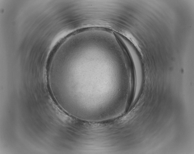 X0000088671072200705311137
