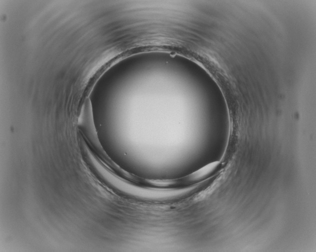 X0000088671073200705311137