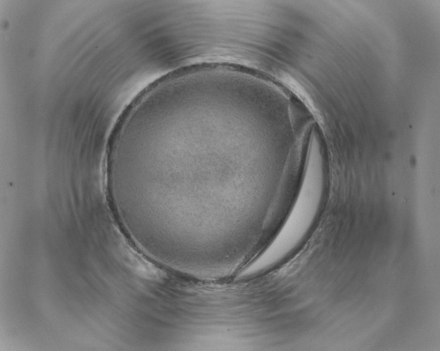 X0000088671076200705311137