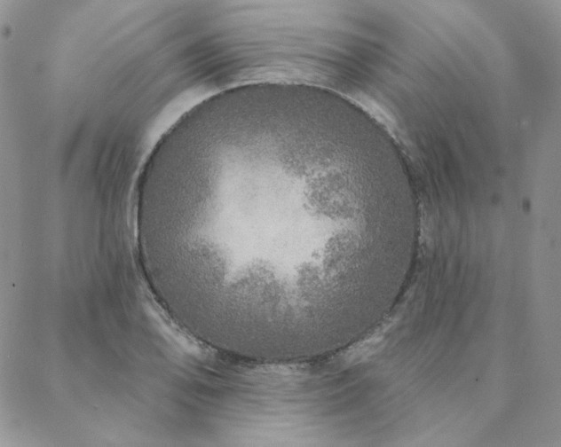 X0000088671078200705311137