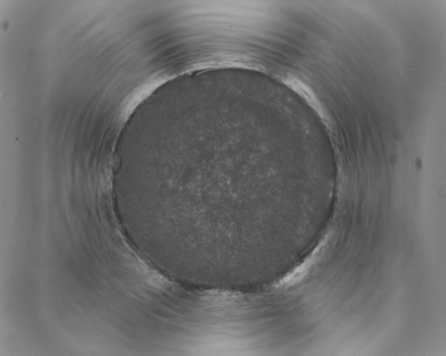 X0000088671081200705311137