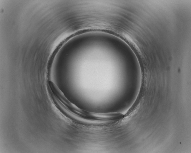 X0000088671085200705311137