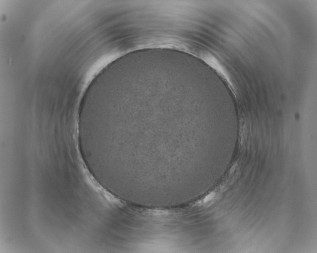 X0000088671088200705311137