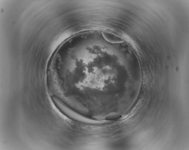 X0000088671095200705311136