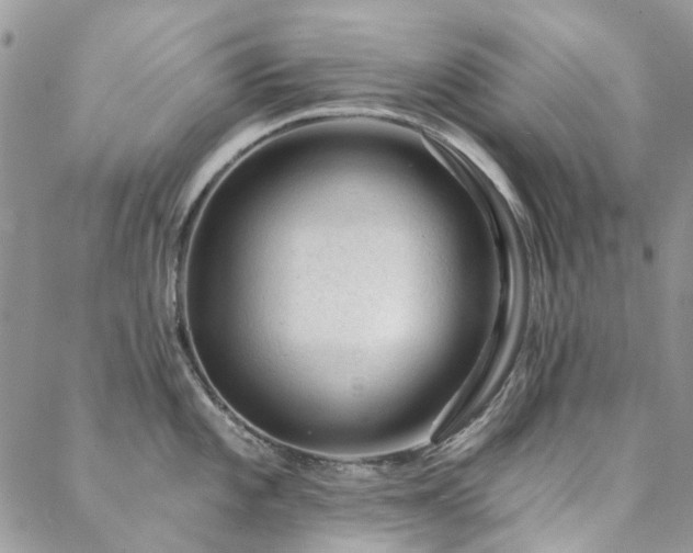 X0000088671101200705311136
