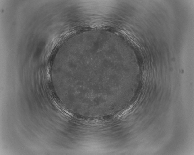 X0000088671106200705311136