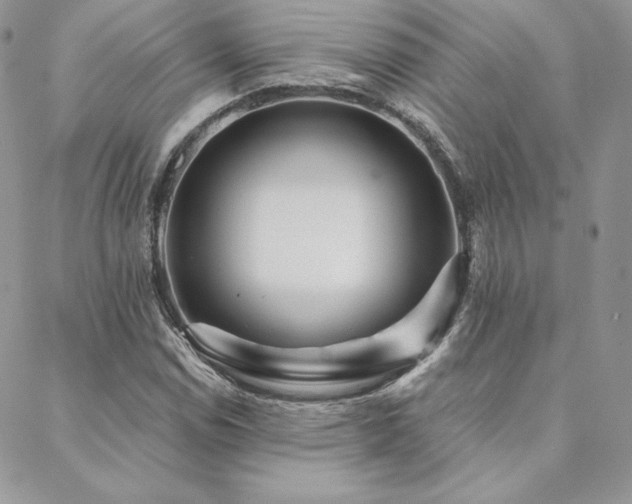 X0000088671114200705311136