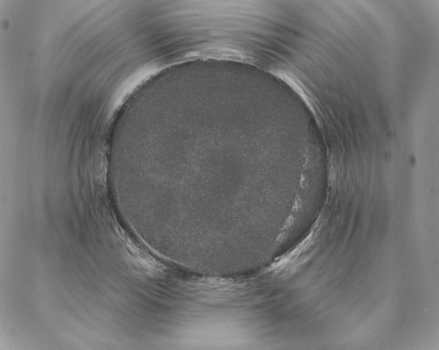 X0000088671115200705311136
