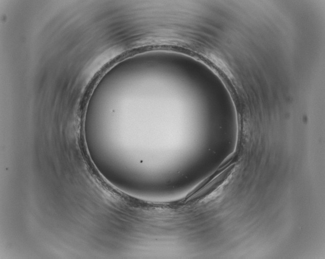 X0000088671119200705311136
