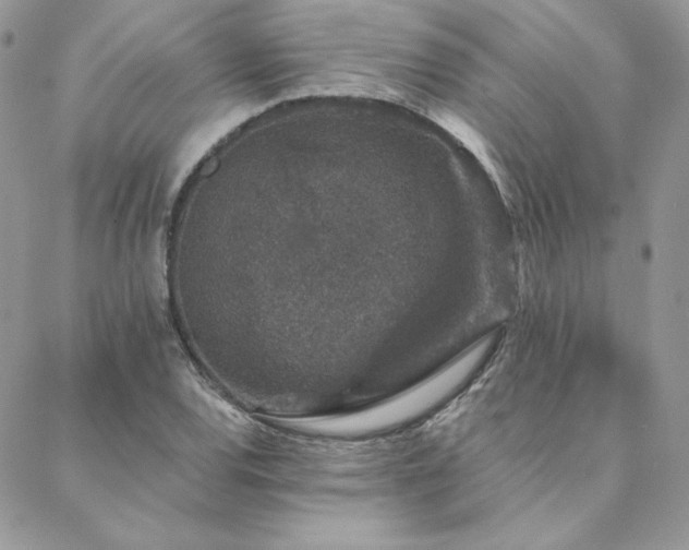 X0000088671120200705311136
