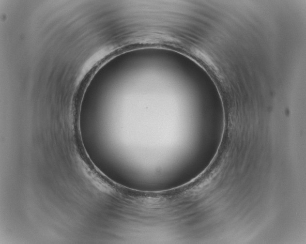 X0000088671122200705311136