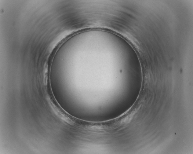 X0000088671126200705311136