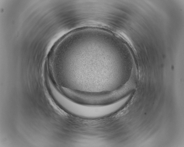X0000088671128200705311136