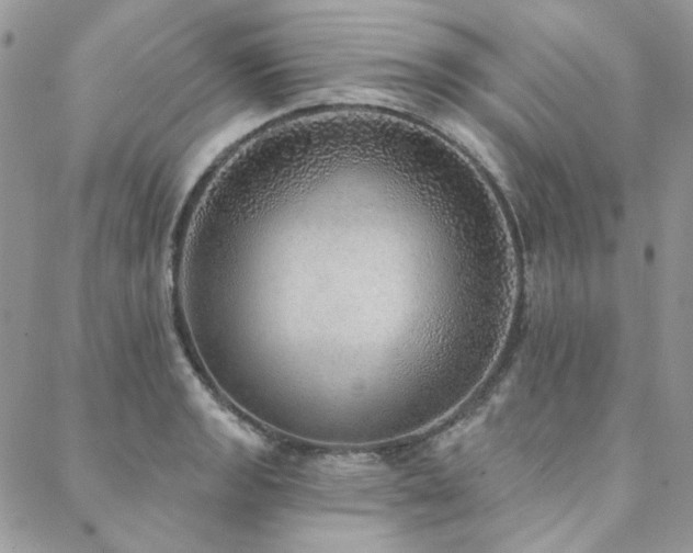 X0000088671133200705311136