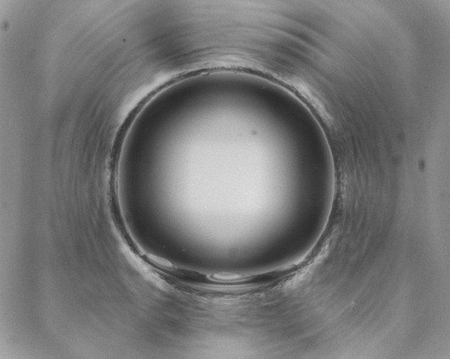X0000088671134200705311136