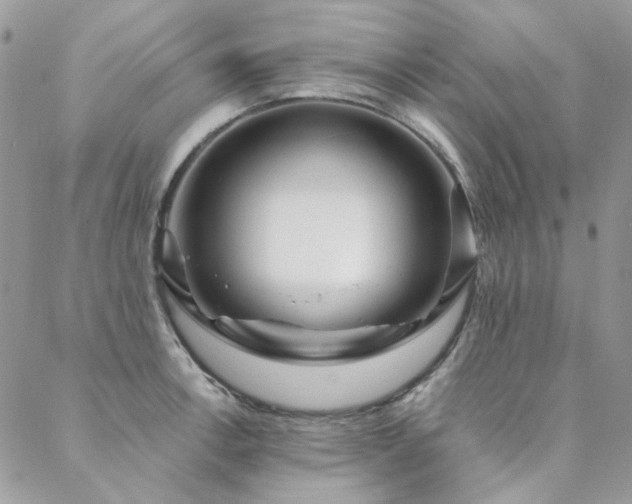 X0000088671138200705311136