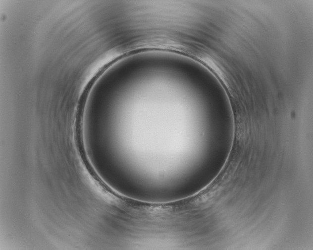 X0000088671139200705311136