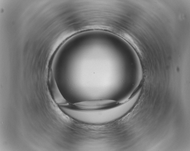 X0000088671140200705311136