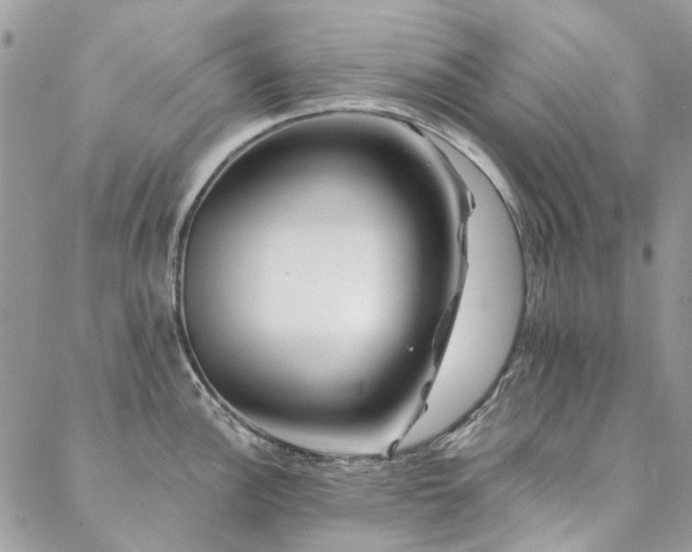 X0000088671148200705311136