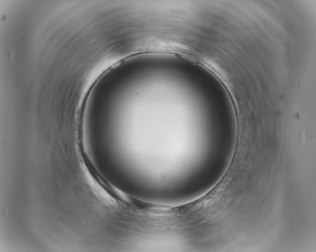 X0000088671152200705311136