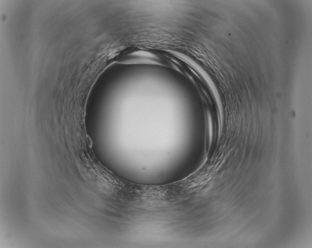 X0000088671153200705311136