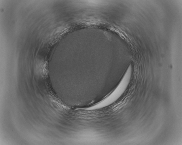 X0000088671156200705311135