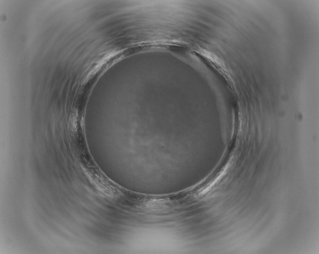 X0000088671161200705311135