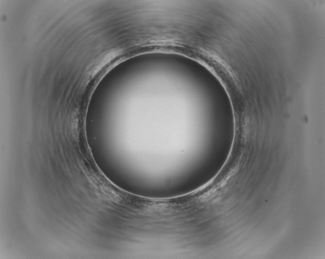 X0000088671162200705311135