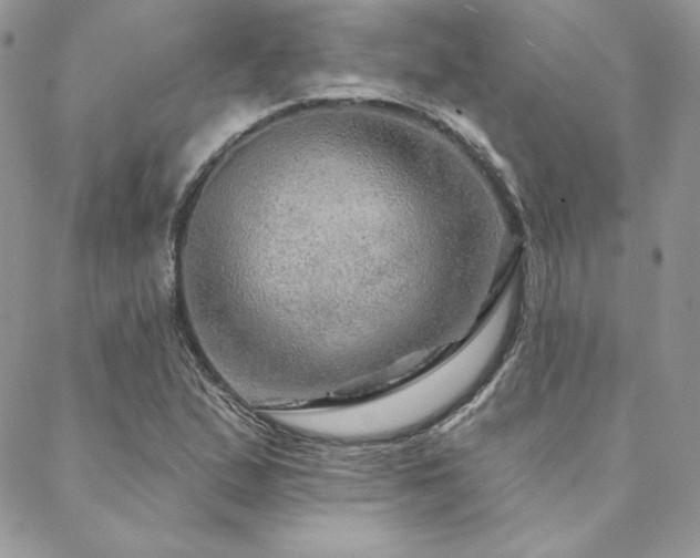 X0000088671167200705311135