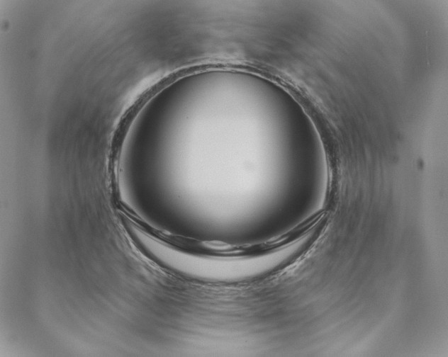 X0000088671168200705311135