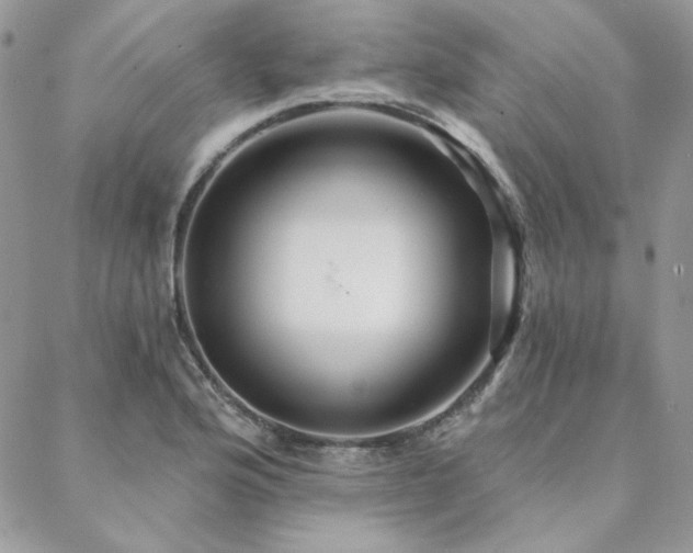 X0000088671176200705311135