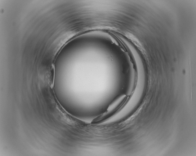 X0000088671177200705311135