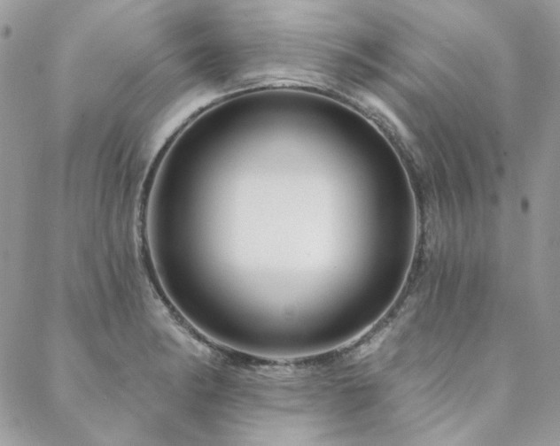 X0000088671182200705311135