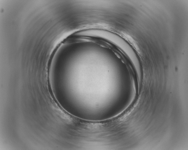 X0000088671184200705311135