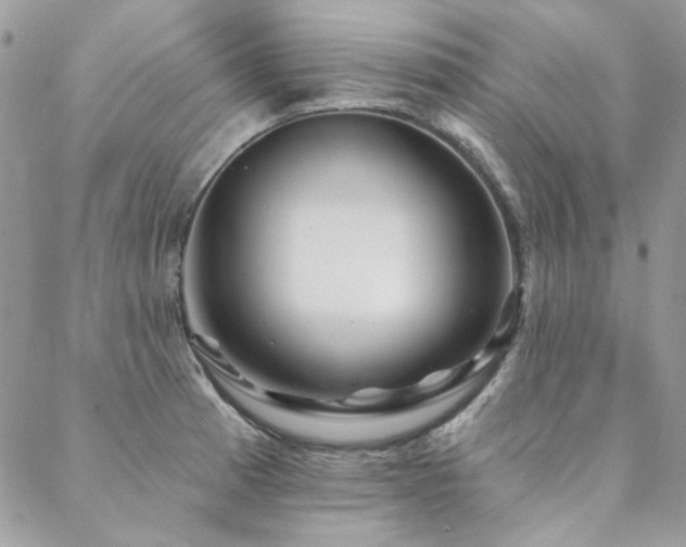 X0000088671185200705311135