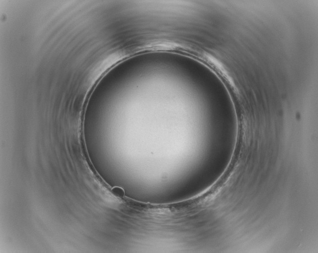 X0000088671186200705311135