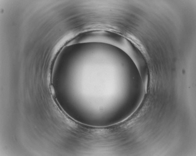 X0000088671188200705311135